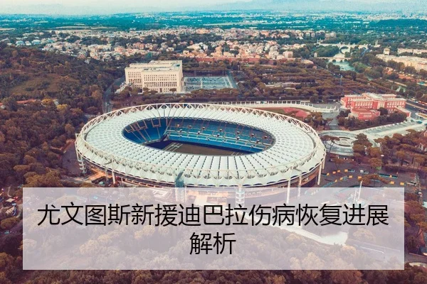 尤文图斯新援迪巴拉伤病恢复进展解析